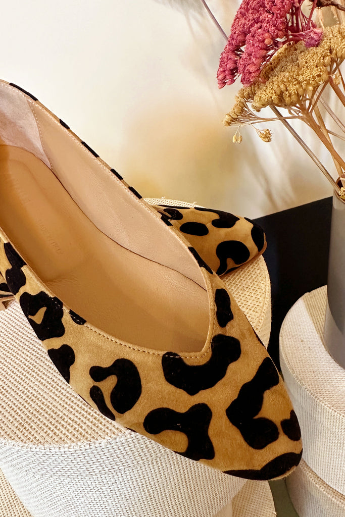 Ballerine Anniel suede leopard
