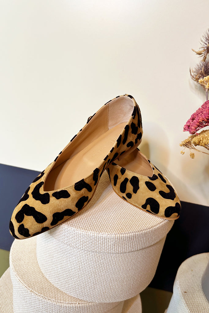 Ballerine Anniel suede leopard
