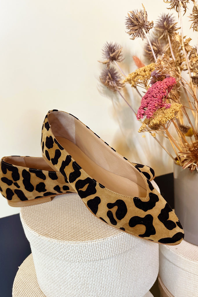 Ballerine Anniel suede leopard
